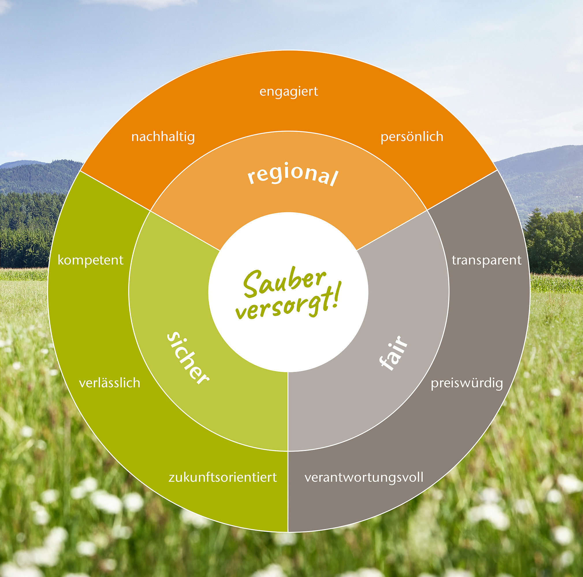 Das Markenrad der ESB Wärme mit den Unternehmenswerten: regional, sicher, fair.